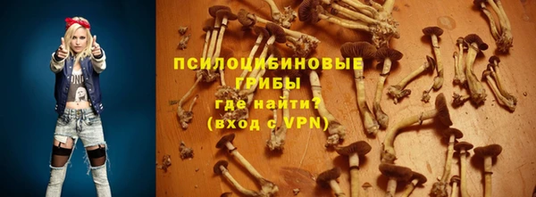трава Куйбышев